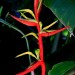 False Bird of Paradise	 thumbnail